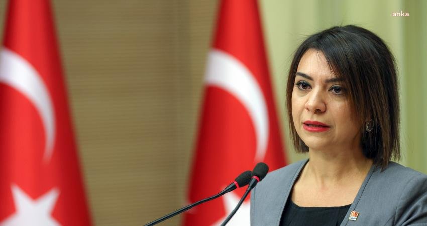 CHP Genel Başkan Yardımcısı Gamze Taşcıer, asgari ücretin yılda bir