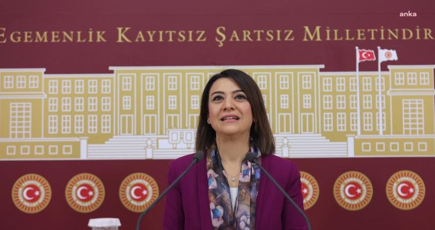 CHP Genel Başkan Yardımcısı ve Gölge Kabine Çalışma ve Sosyal