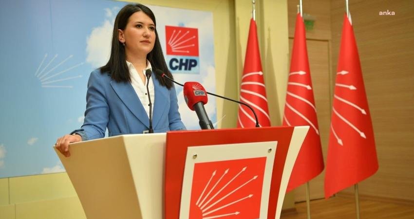 CHP Genel Başkan Yardımcısı Gökçe Gökçen, 10 Aralık Dünya İnsan