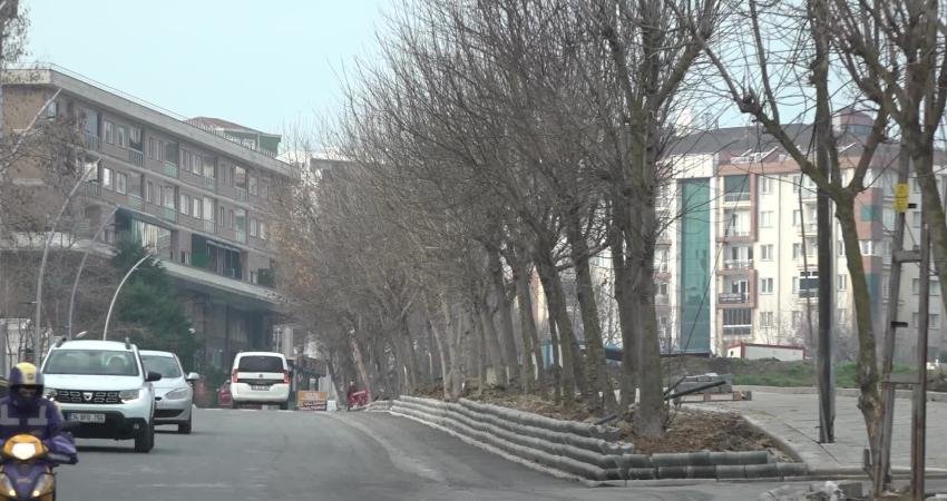 İstanbul’un yeşil alanı zengin ilçelerinden Büyükçekmece’de her yeni yıla ağaç