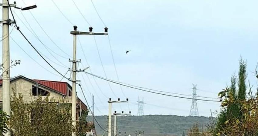 İzmit Belediyesi Muhtar Hizmet Masası Koordinatörü Ercan Umutlu sosyal medya