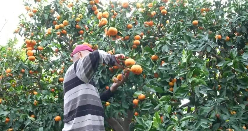 Kadıköy Belediyesi, depremzede çiftçilerin ürettiği ürünleri Kadıköy’e getirerek deprem dayanışma