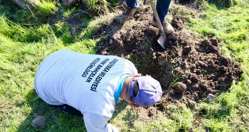 Karşıyaka Belediyesi, kent içindeki ağaç ve yeşil alan varlıklarını artıracak
