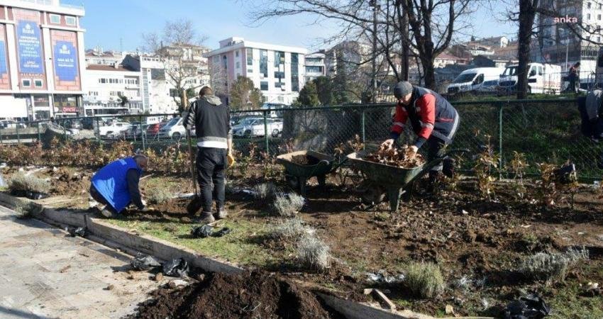 Kdz. Ereğli’de 19 Kasım’da yaşanan büyük felakette yıkılan ağaçların yerlerine