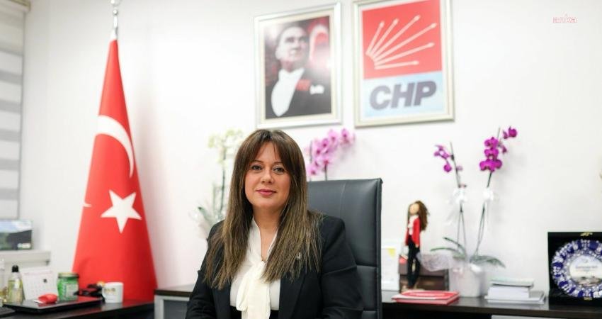 CHP Kültür ve Turizm Bakanlığı'ndan Sorumlu Genel Başkan Yardımcısı Koza
