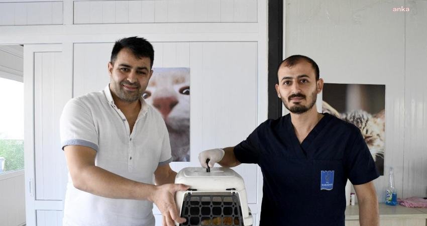 Kuşadası Belediyesi tarafından yaklaşık 1,5 ay önce hizmete açılan Kedi
