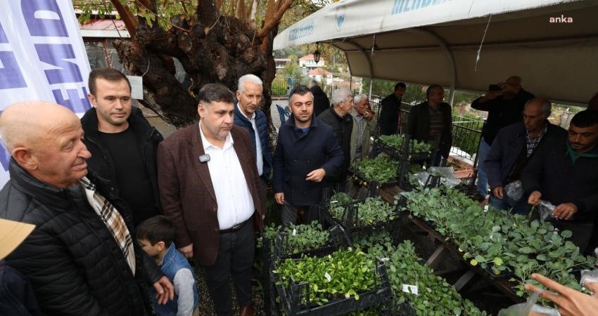 Menderes Belediyesi üreticilere brokoli, karnabahar, taze soğan, ıspanak fidesi olmak