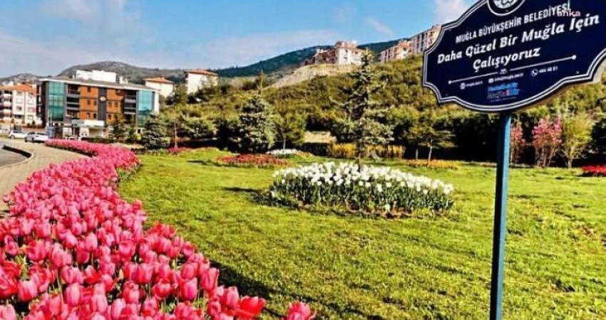 Muğla Büyükşehir Belediyesi il genelinde aktif yeşil alan miktarını 2014