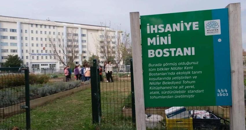 Nilüfer Belediyesi, kent merkezinde yükselen binaların arasında kurduğu bostanlara, fide