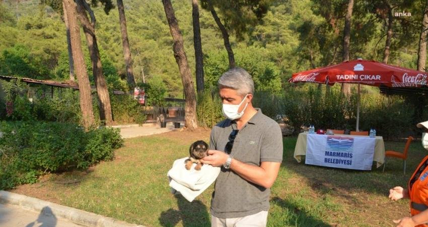 Marmaris Belediyesi Geçici Hayvan Bakımevi, patili dostlar için aralıksız çalışmaya