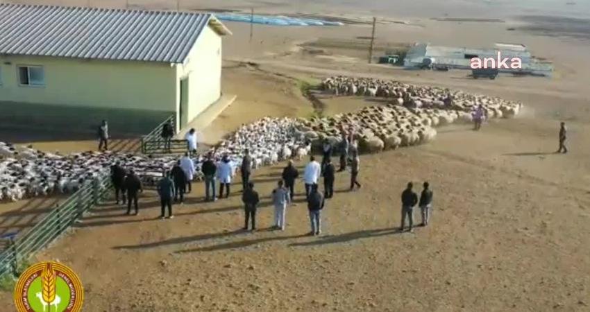 Sayıştay, Tarım İşletmeleri Genel Müdürlüğü’nün özkaynaklarının 2022 yılında reel olarak