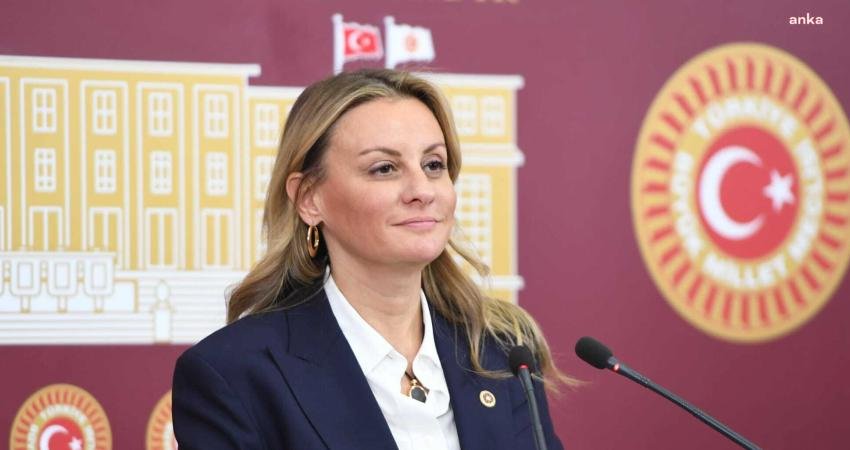 DEVA Partisi İzmir Milletvekili Seda Kaya Ösen, 5 Aralık Dünya