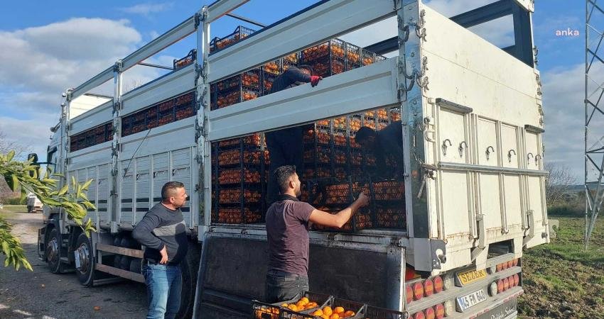 Seferihisar Belediyesi, kış aylarının gelmesiyle birlikte depremin vurduğu Malatya Doğanşehir’de