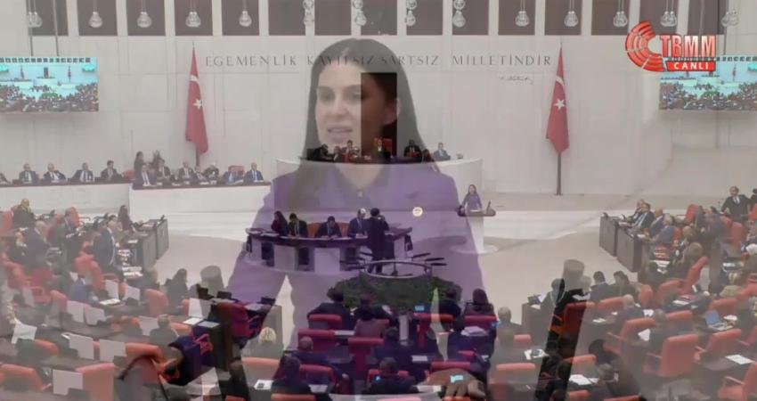 TBMM Genel Kurulu’nda bütçe görüşmeleri sırasında TBMM Başkanvekili Gülizar Biçer