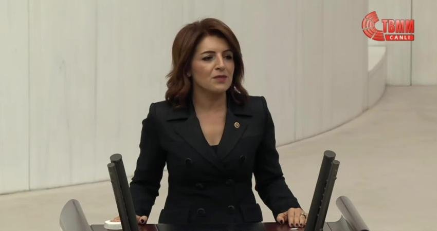 CHP Mersin Milletvekili Gülcan Kış, TBMM Genel Kurulu'nda bütçe görüşmelerinde;