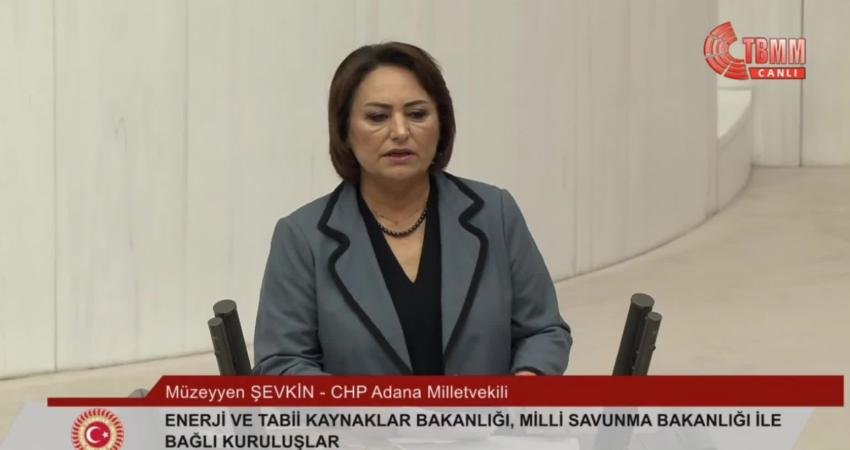 CHP Adana Milletvekili Müzeyyen Şevkin, TBMM Genel Kurulu'nda bütçe görüşmelerinde;