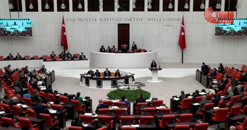 DEM Partisi Sözcüsü Ayşegül Doğan, TBMM Genel Kurulu'nda, Şırnak'tan her