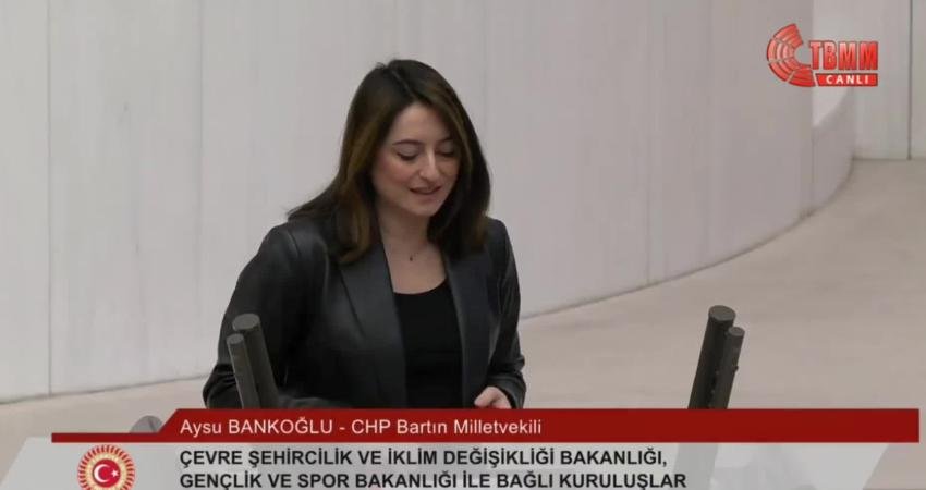 CHP Bartın Milletvekili Aysu Bankoğlu, TBMM Genel Kurulu'nda; “Bu ülke