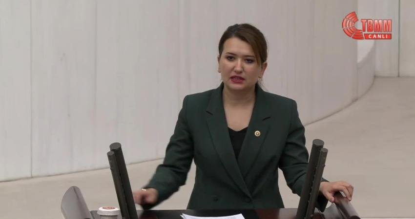CHP İzmir Milletvekili Gökçe Gökçen, TBMM Genel Kurulu'nda bütçe görüşmelerinde;