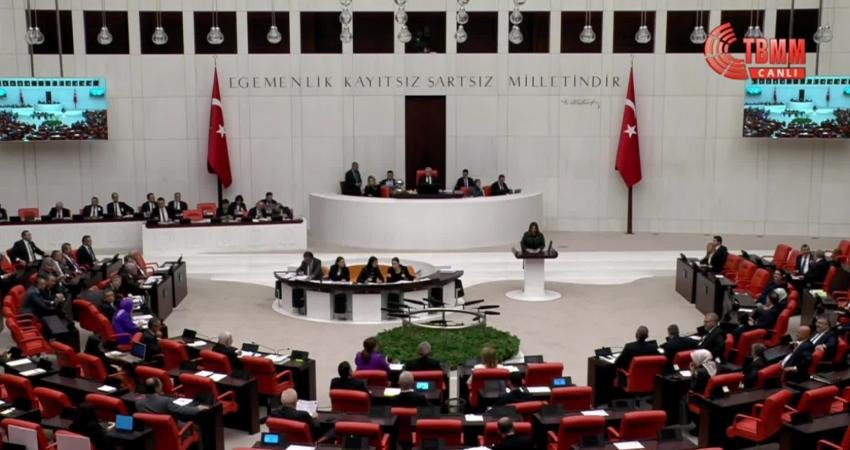 İYİ Parti Genel Başkan Yardımcısı Selcan Hamşıoğlu, TBMM Genel Kurulu'nda;