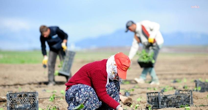 Türkiye İstatistik Kurumu (TÜİK) verilerine göre, yurt içi üretici fiyatları