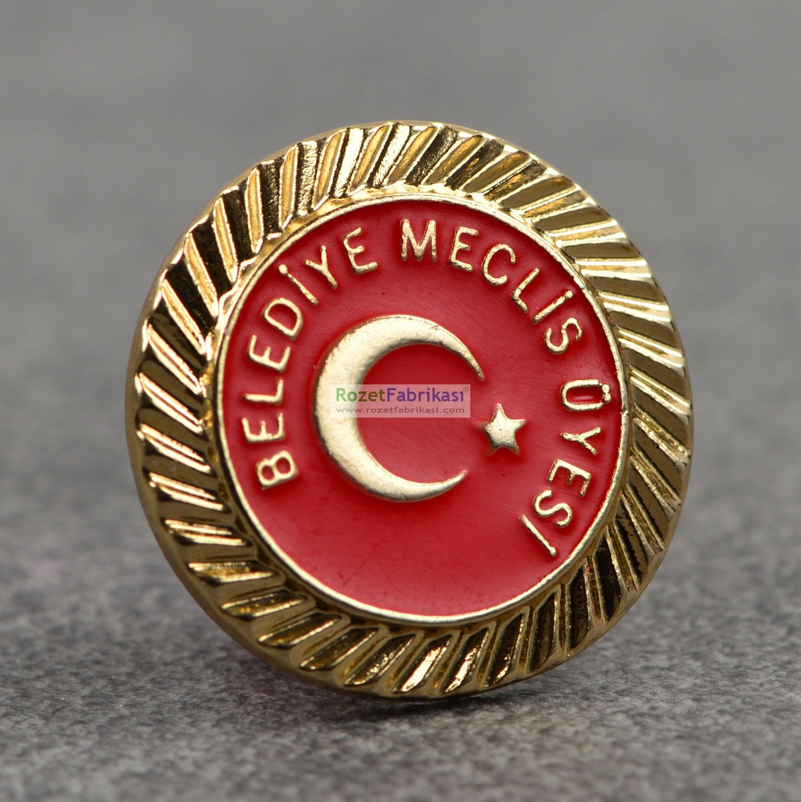 Belediye meclis üyesi, belediyenin karar organı olan belediye meclisinin üyesi