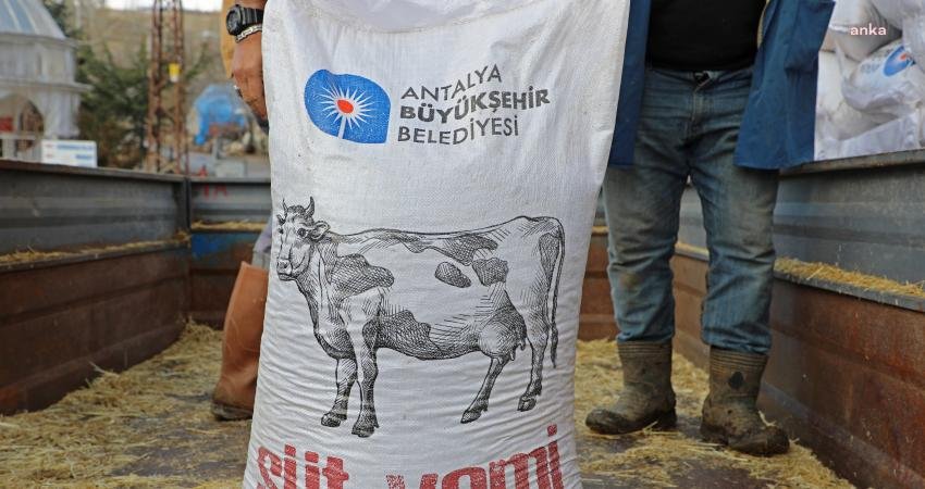 Antalya Büyükşehir Üreticilere Süt Yemi Desteğine Başladı Antalya Büyükşehir Belediye Başkanı Muhittin Böcek’in seçim vaatleri arasında yer