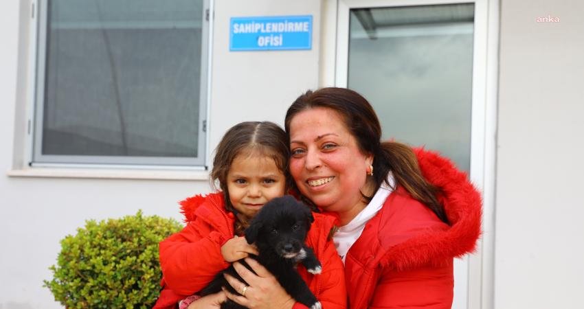Antalya Büyükşehir Belediyesi Sokak Hayvanları Geçici Bakımevi ve Rehabilitasyon Merkezi'nde