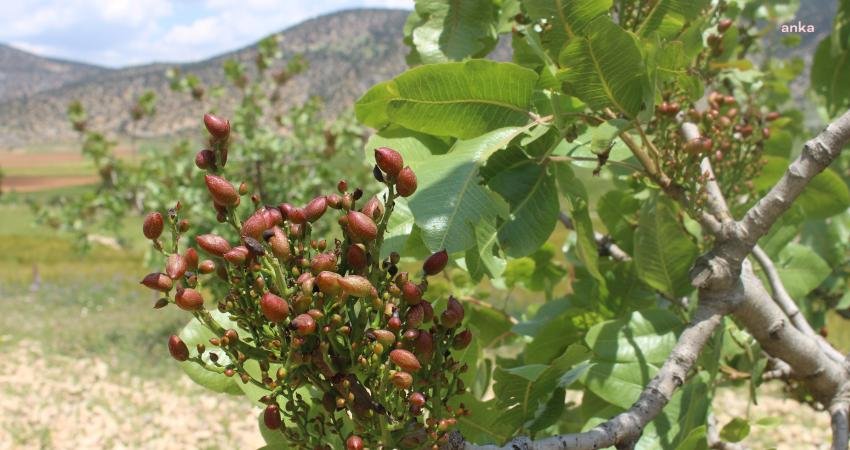 Antalya Büyükşehir Belediyesi, Başkan Muhittin Böcek’in yerelden kalkınma hamlesi doğrultusunda