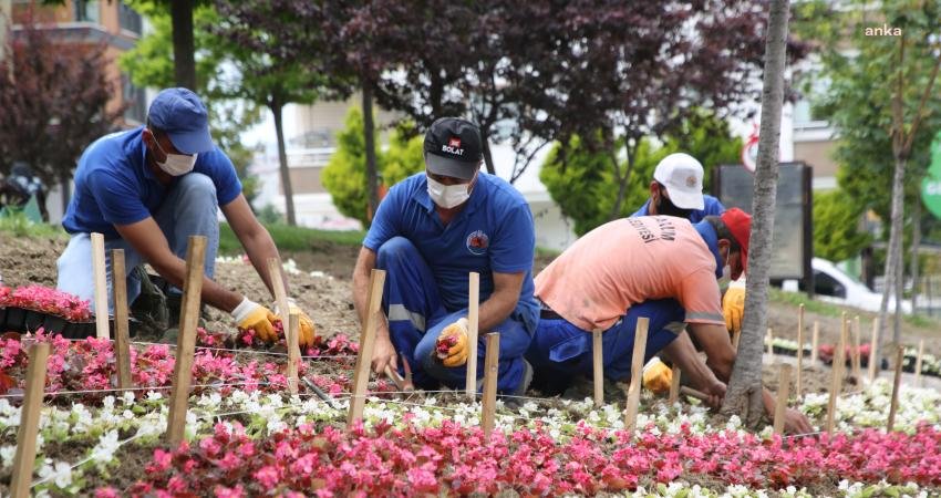 Atakum Belediyesi'nin çevre düzenleme ve yeşillendirme çalışmaları hız kesmeden devam