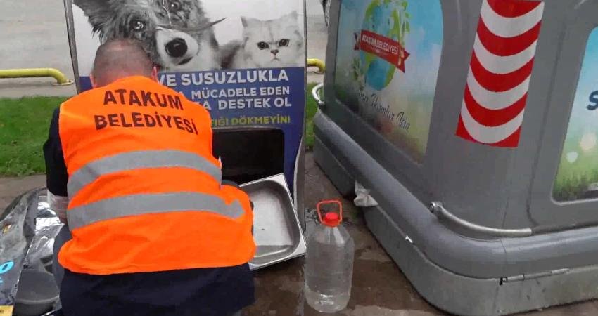 Atakum Belediyesi ekipleri, 4,5 yıldır sokakta yaşayan canlıların beslenme, sağlık
