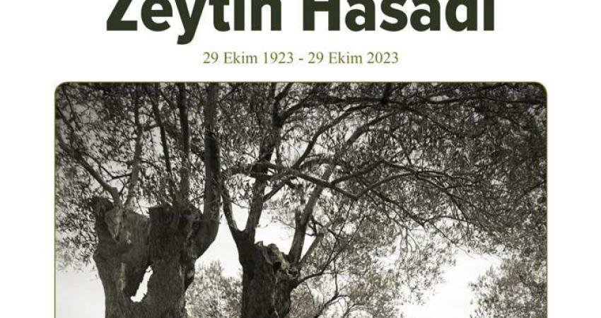 “Cumhuriyetimizin Yüzüncü Yılında Geçmişten Günümüze Ayvalık’ta Zeytin Hasadı” kitabı çıkıyor.