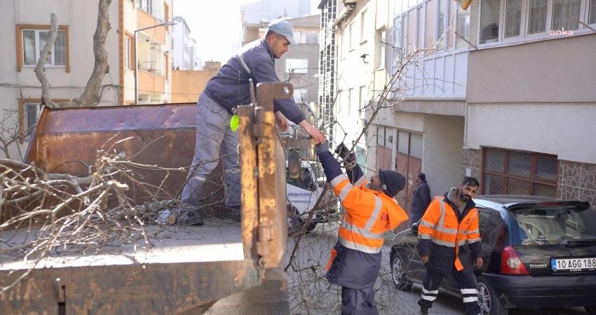 Bandırma Belediyesi tarafından şehir merkezindeki park, bahçe, çocuk oyun alanları,