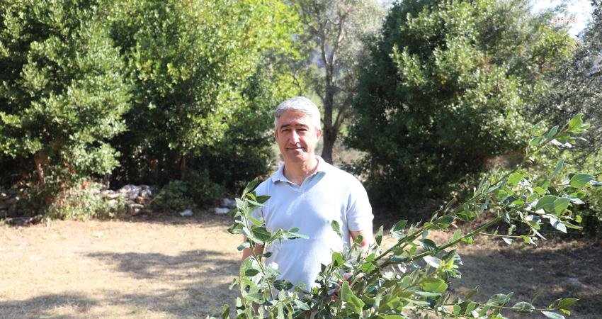5 yıllık süreçte Marmaris’in tarımsal potansiyelini de ortaya çıkardıklarını belirten
