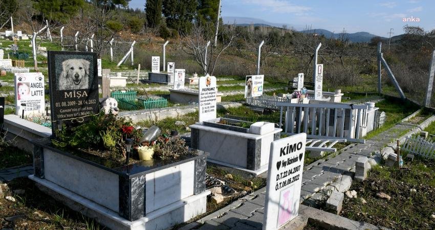 Kuşadası Belediye Başkanı Ömer Günel’in 5 yıl önce Can Dostlar