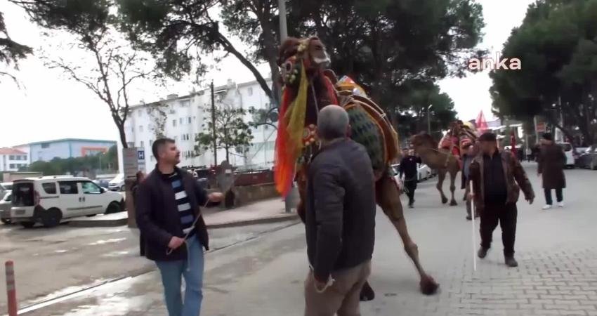 Burhaniye Belediyesi'nin düzenlediği 19. Burhaniye Zeytin ve Zeytinyağı Hasat Festivali