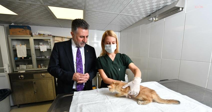 Bayraklı Belediyesi Veteriner İşleri Müdürlüğü ekipleri, yıl boyunca belirli periyotlarda