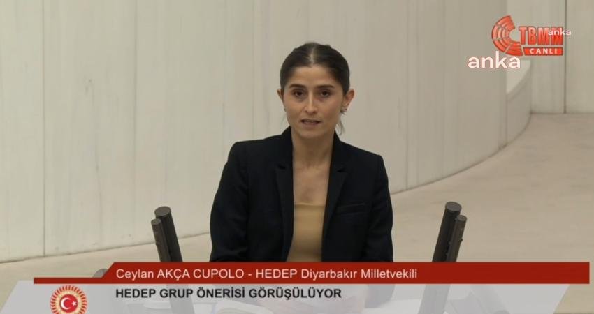Demokrasi ve Eşitlik Partisi (DEM) Diyarbakır Milletvekili Ceylan Akça Cupolo,
