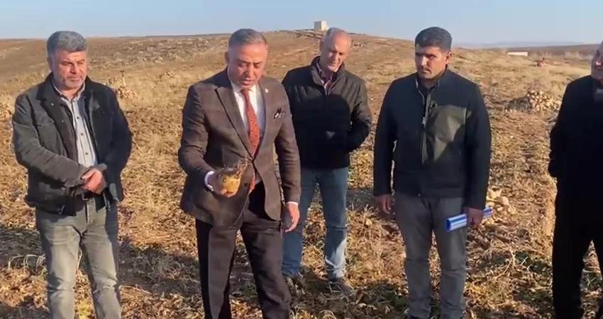 Çorum’da şeker fabrikasının 2018 yılında özelleştirilerek Safi Holding’e satılması nedeniyle