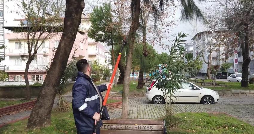 Efeler Belediyesi, ilçe genelindeki park, bahçe ve yeşil alanların bakımını