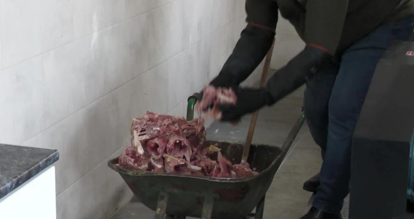 Sokak hayvanlarının daha sağlıklı beslenmesi amacıyla Türkiye’nin en yüksek üretim kapasiteli