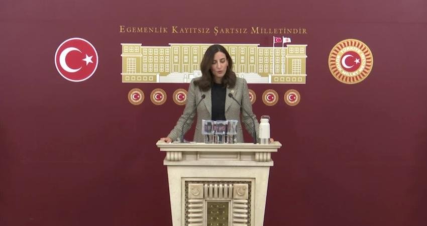 DEVA Partisi İstanbul Milletvekili Evrim Rızvanoğlu, tek kullanımlık plastiklerin 2