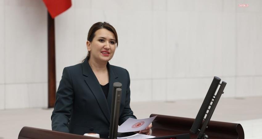 CHP Genel Başkan Yardımcısı Gökçe Gökçen, torpil yaptığı iddiasıyla gündeme