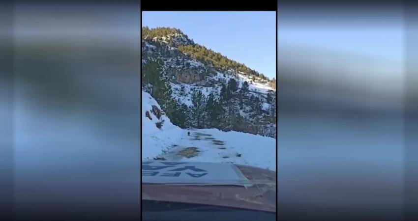 Konyaaltı Belediye Başkanı Semih Esen, 2019 yılında göreve geldikleri günden