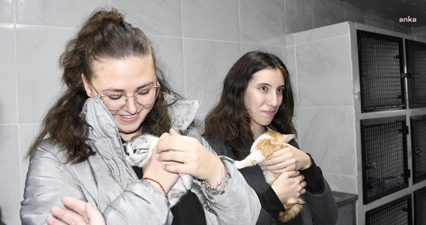 Kuşadası Evcil Hayvan Rehabilitasyon Merkezi, Derici Mustafa Gürbüz Anadolu Lisesi öğrencilerini ağırladı. Veterinerlerden