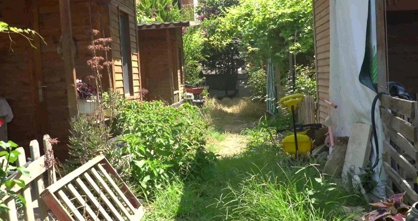 Mezitli Belediyesi, vatandaşların organik tarım yapmalarını desteklemek amacı ile hayata