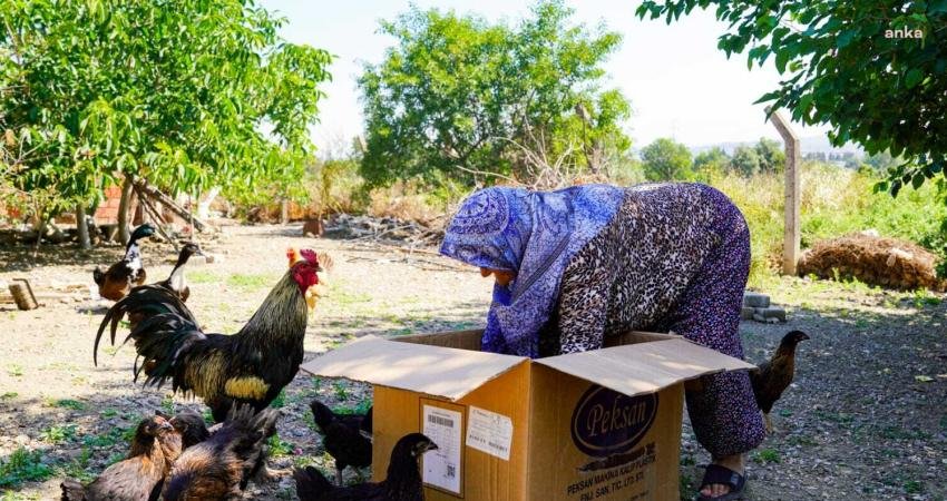 İzmir’in Seferihisar ilçesi, son 5 yılda yapılan tarım yatırımlarıyla dikkat