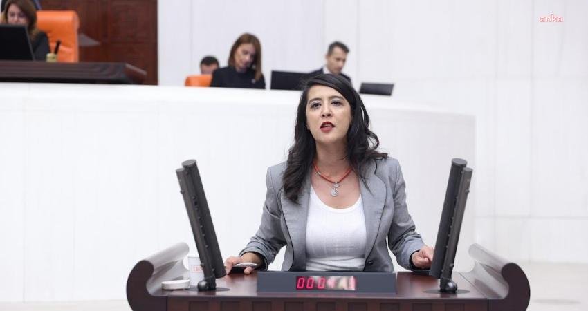 Emek Partisi Gaziantep Milletvekili Sevda Karaca, Yedikule Göğüs Hastalıkları Hastanesi’nde