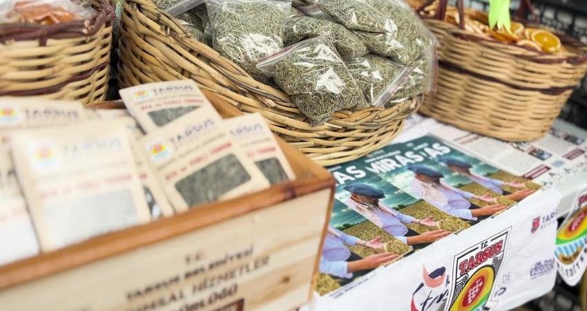 Tarsus Belediyesi yürüttüğü 'Miras' projesi ile ürettiği yerli, ata tohumları,