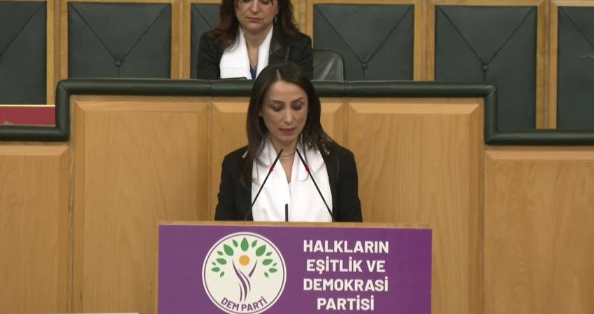 Halkların Eşitlik ve Demokrasi Partisi (DEM Parti) Eş Genel Başkanı